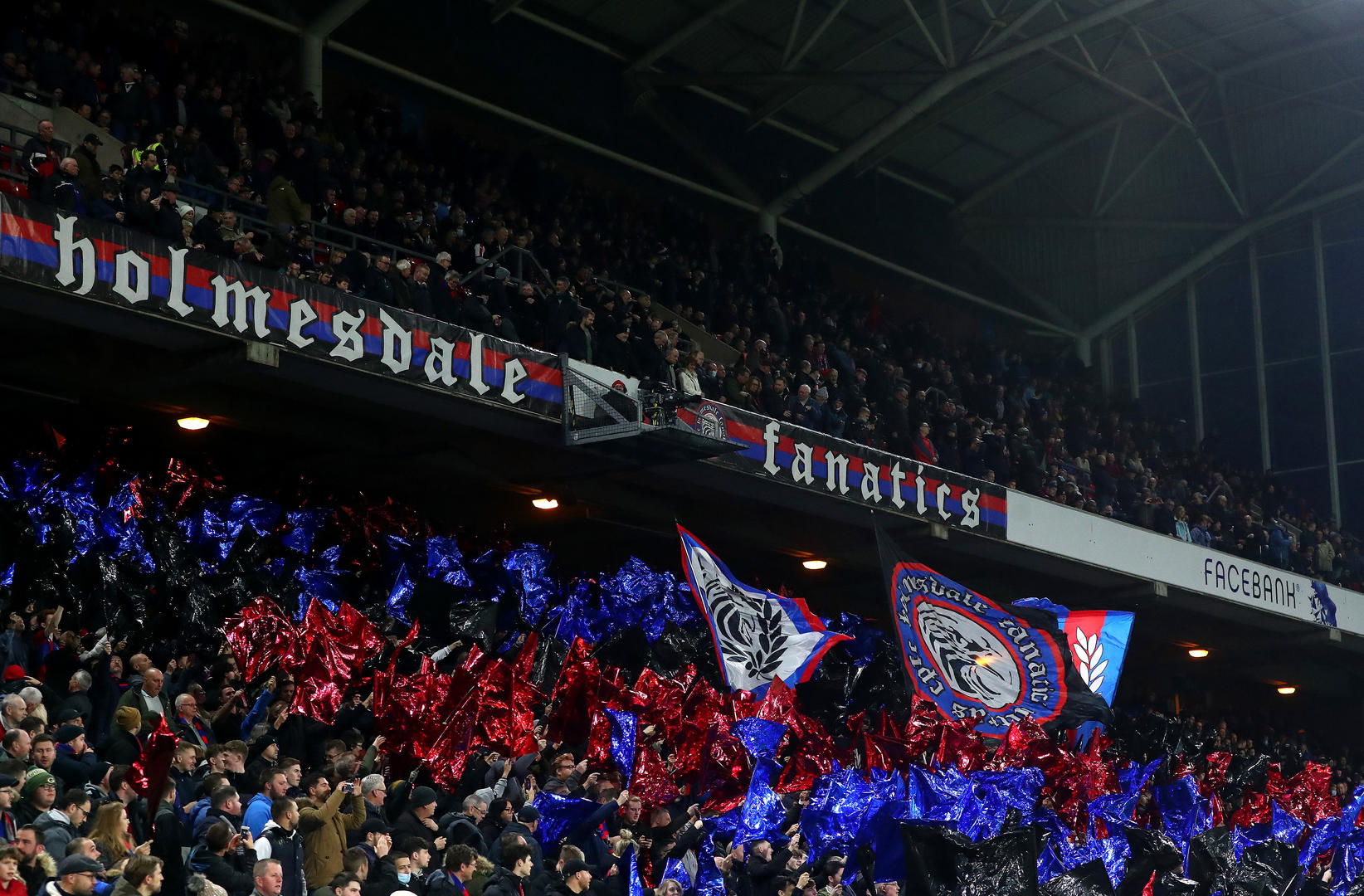 仅展示了 仅展示了